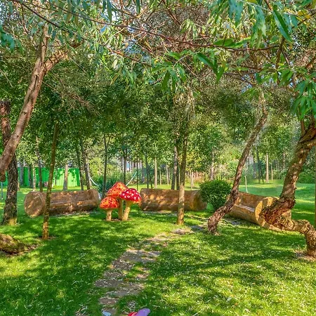 Harmony Grand Lägenhetshotell Slăntjev Brjag